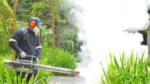 Best Fumigation Services  in Miami Lakes, FL